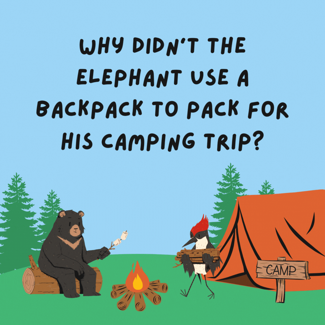Why didn’t the elephant use a backpack to pack for his camping trip? He wanted to use his trunk.- camping jokes