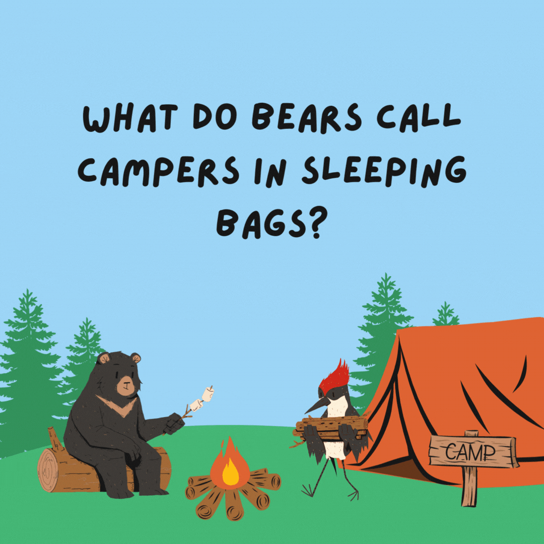 What do bears call campers in sleeping bags? Burritos.