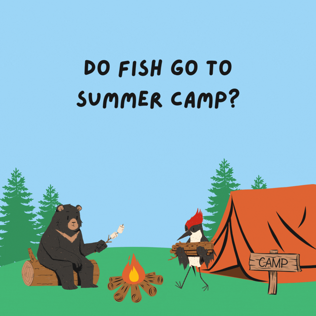 Do fish go to summer camp? No, they are always in school!