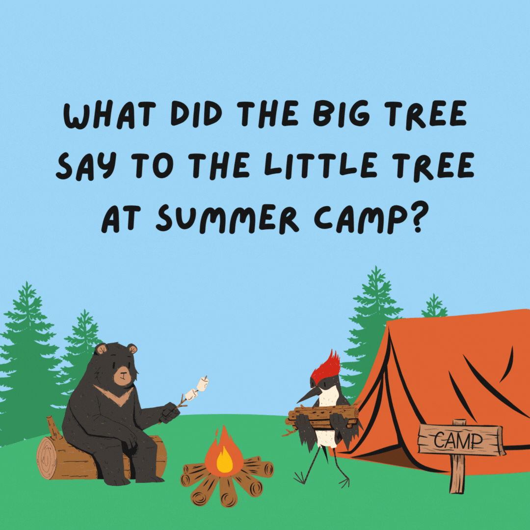 What did the big tree say to the little tree at summer camp? Leaf me alone, I’m branching out!