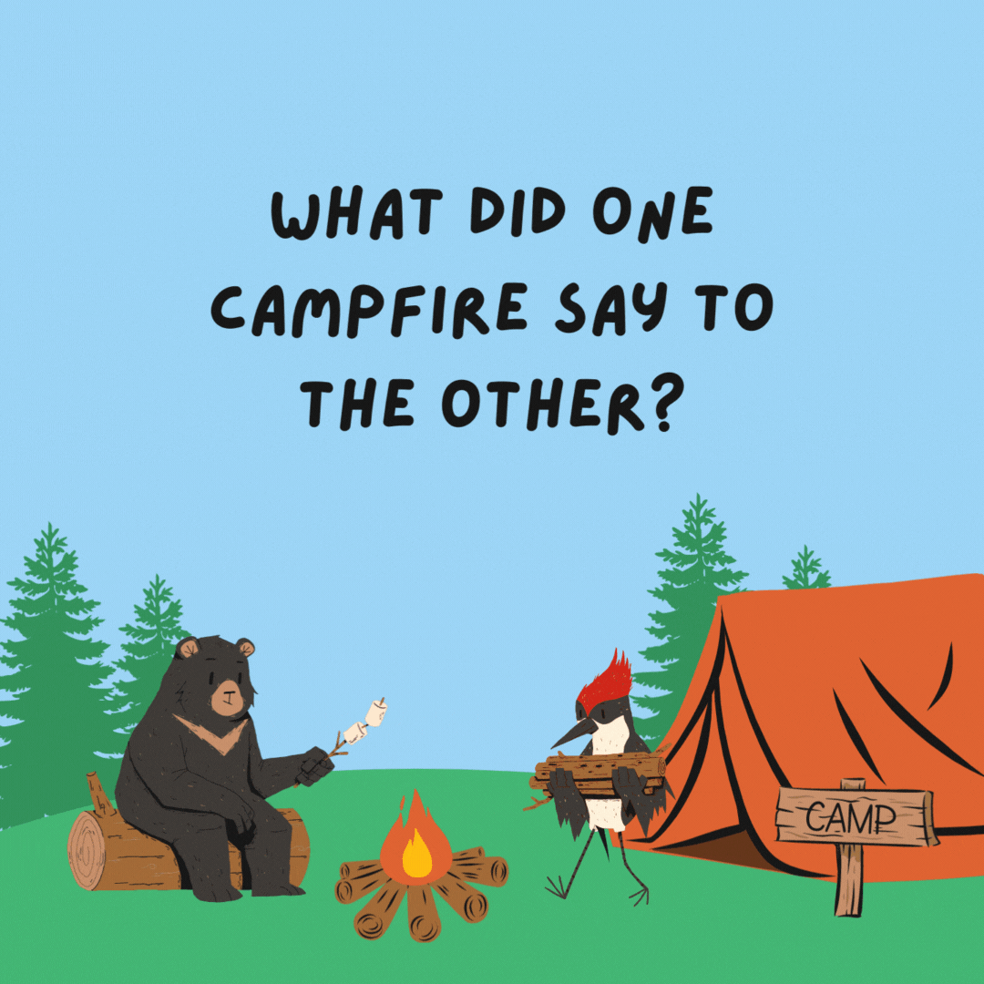 What did one campfire say to the other? Let’s blaze a trail of fun and make s’more memories!