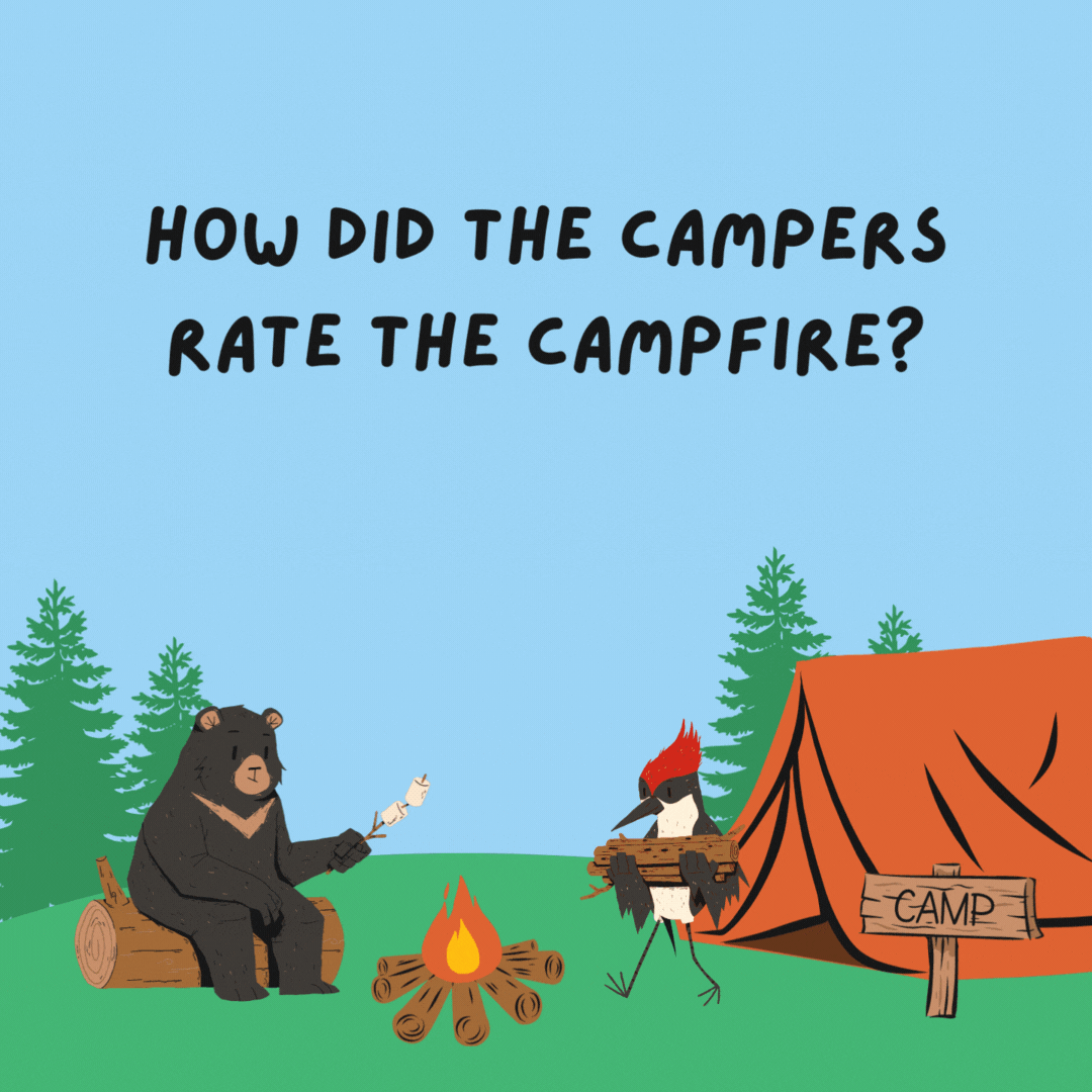 How did the campers rate the campfire? They gave it glowing reviews.