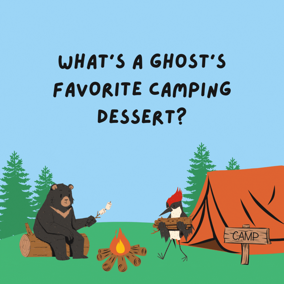 What's a ghost's favorite camping dessert? Boo-berry pie.