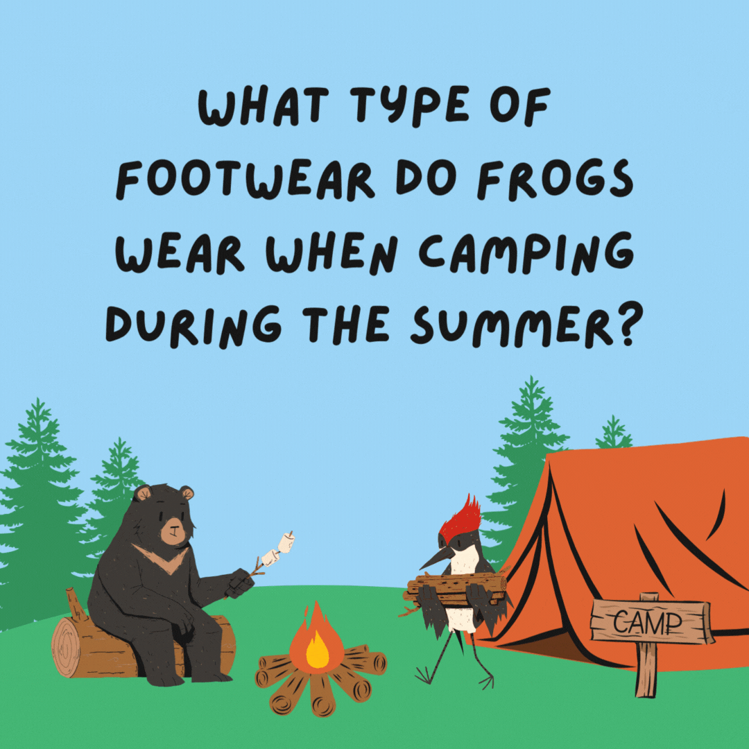 What type of footwear do frogs wear when camping during the summer? Open toad shoes.- camping jokes