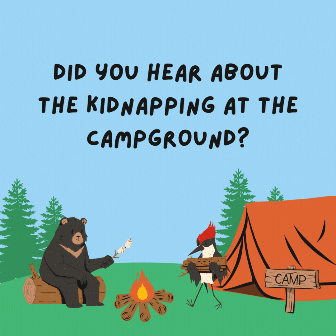 Did you hear about the kidnapping at the campground? It’s alright—he woke up.- camping jokes
