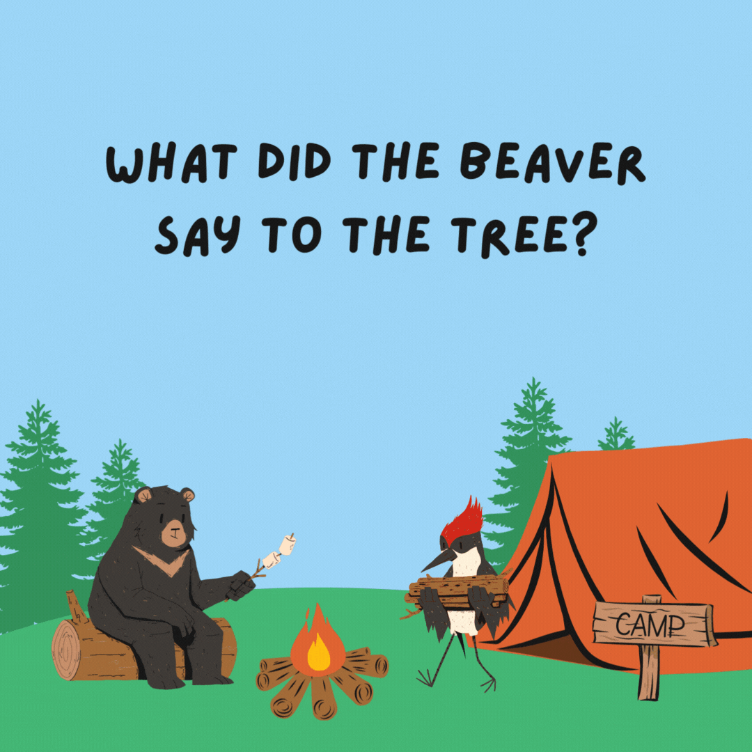 What did the beaver say to the tree? It’s been nice gnawing you.- camping jokes
