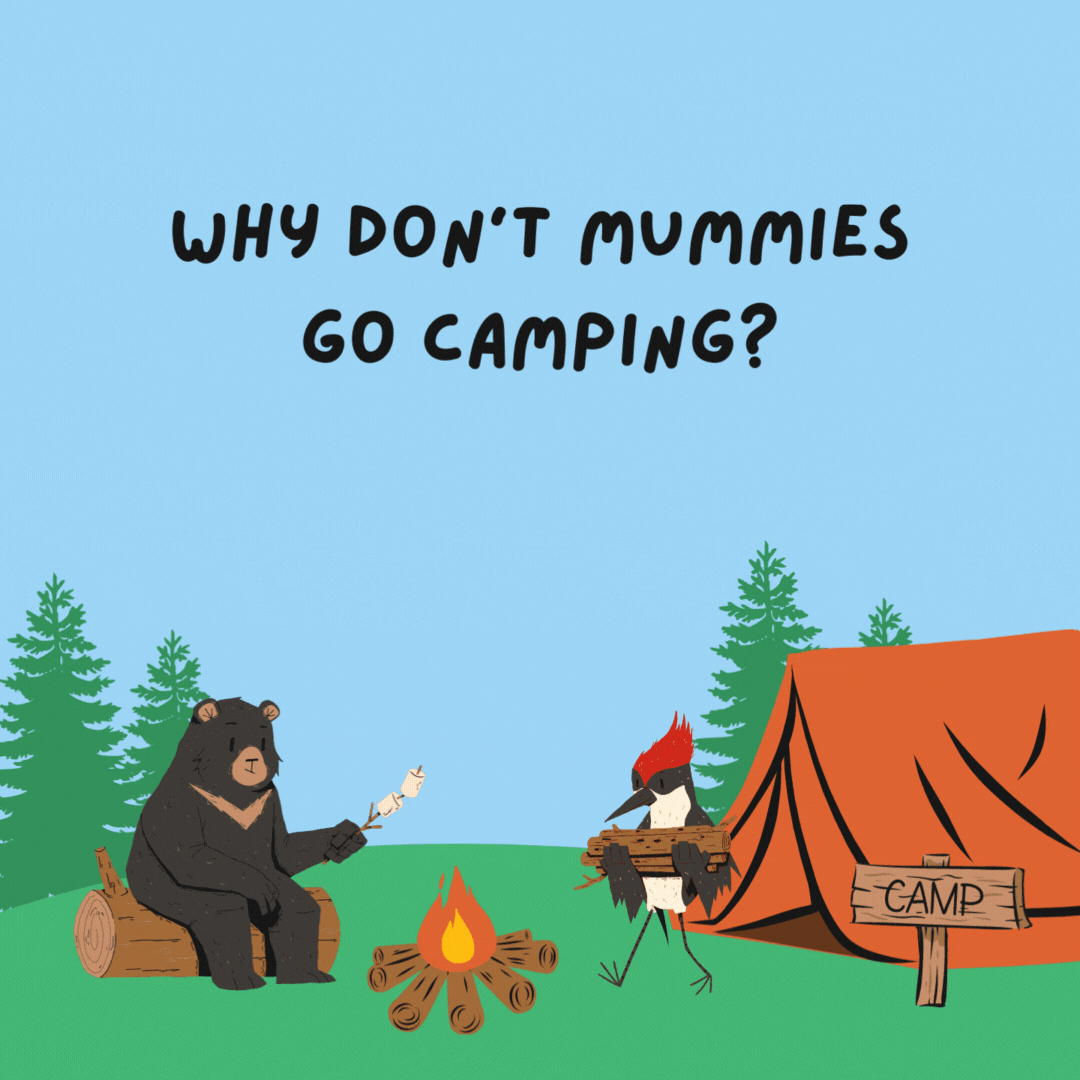 Why don't mummies go camping? They're afraid they'll "unravel" in the wilderness.