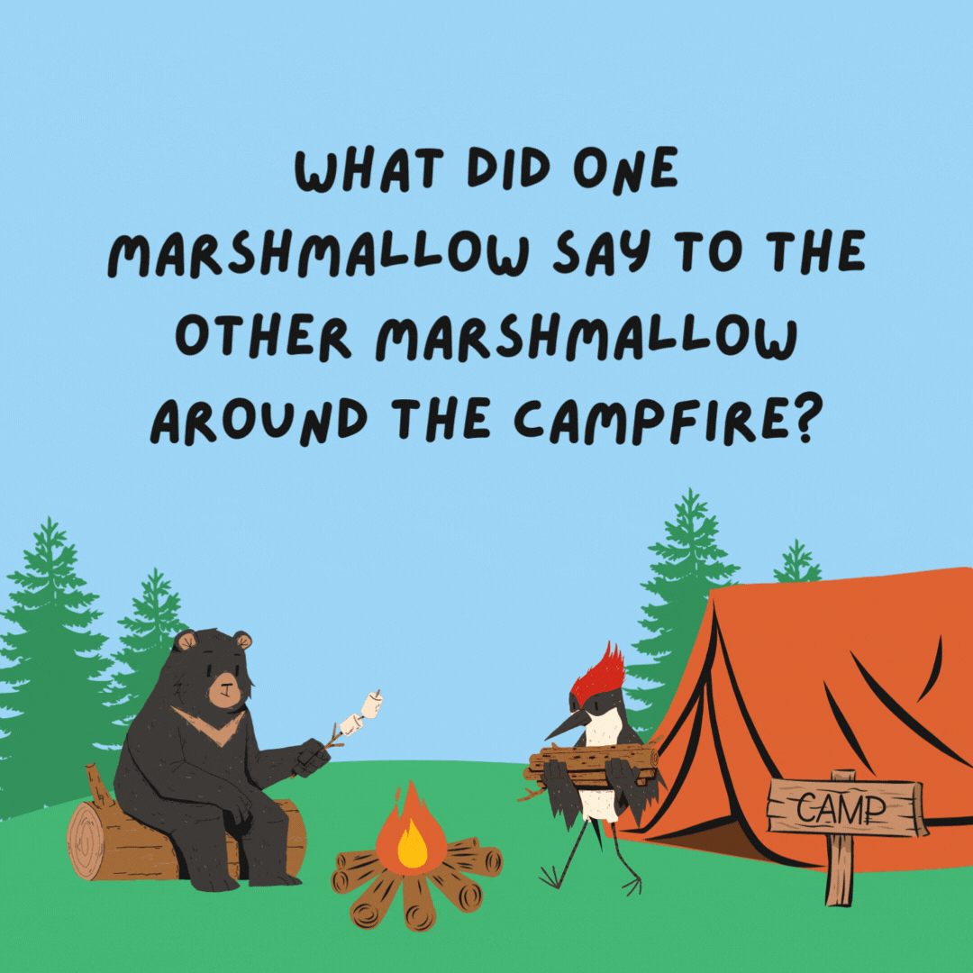 What did one marshmallow say to the other marshmallow around the campfire? Time to get toasty!