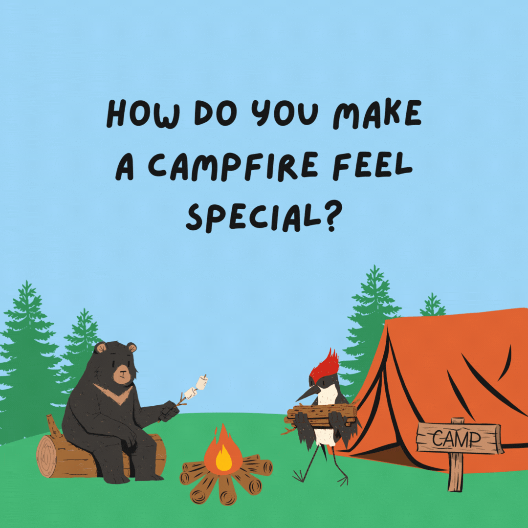 How do you make a campfire feel special? Give it a blazing compliment.- camping jokes