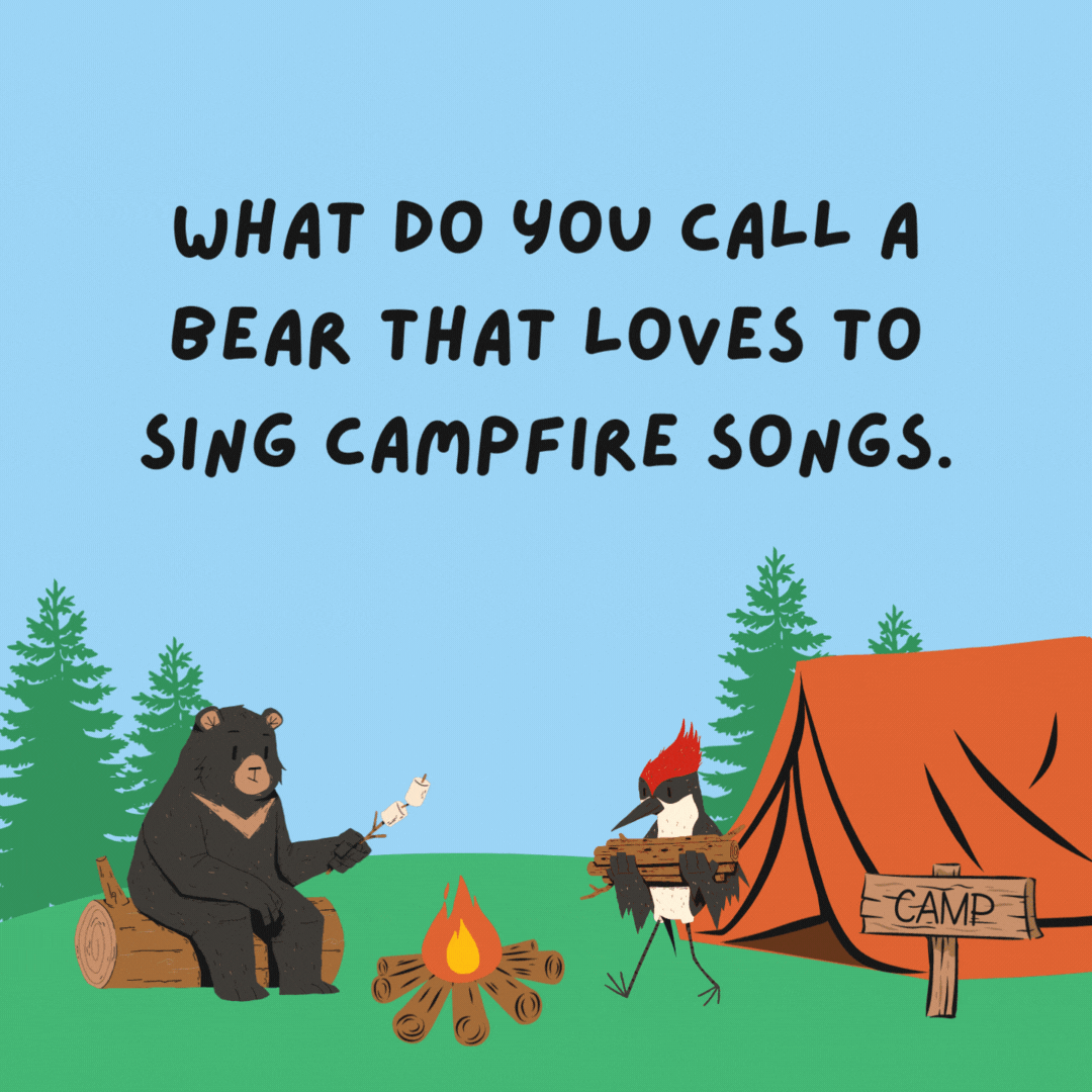 What do you call a bear that loves to sing campfire songs. A bear-a-toned vocalist.