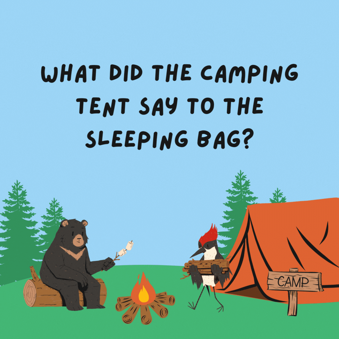 What did the camping tent say to the sleeping bag? I've got you covered.- camping jokes