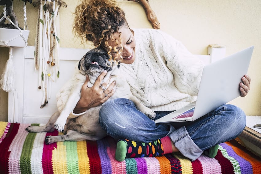 Woman on computer with puppy shopping teacher rewards program