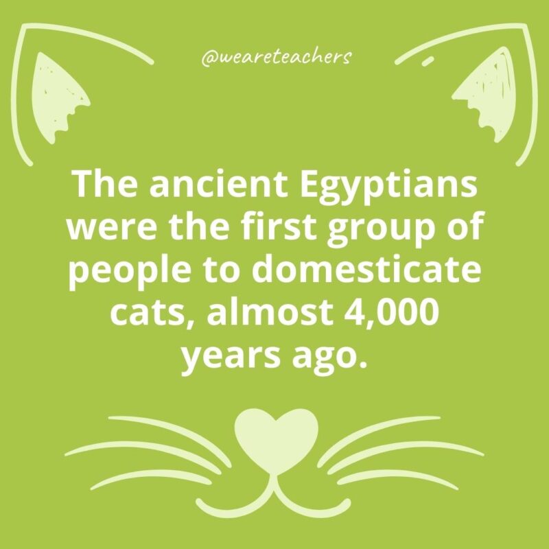 3. The ancient Egyptians were the first group of people to domesticate cats, almost 4,000 years ago.