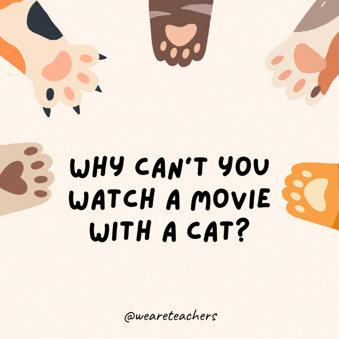 Why can’t you watch a movie with a cat?