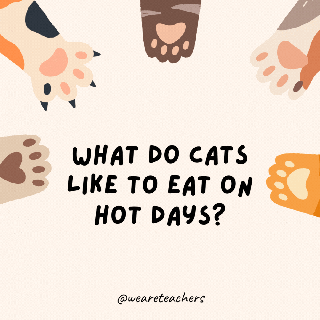 What do cats like to eat on hot days?