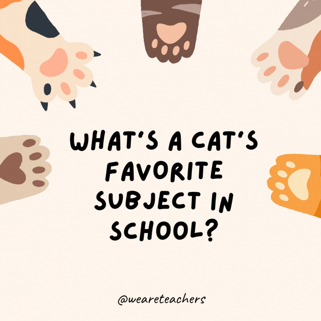 What's a cat's favorite subject in school?