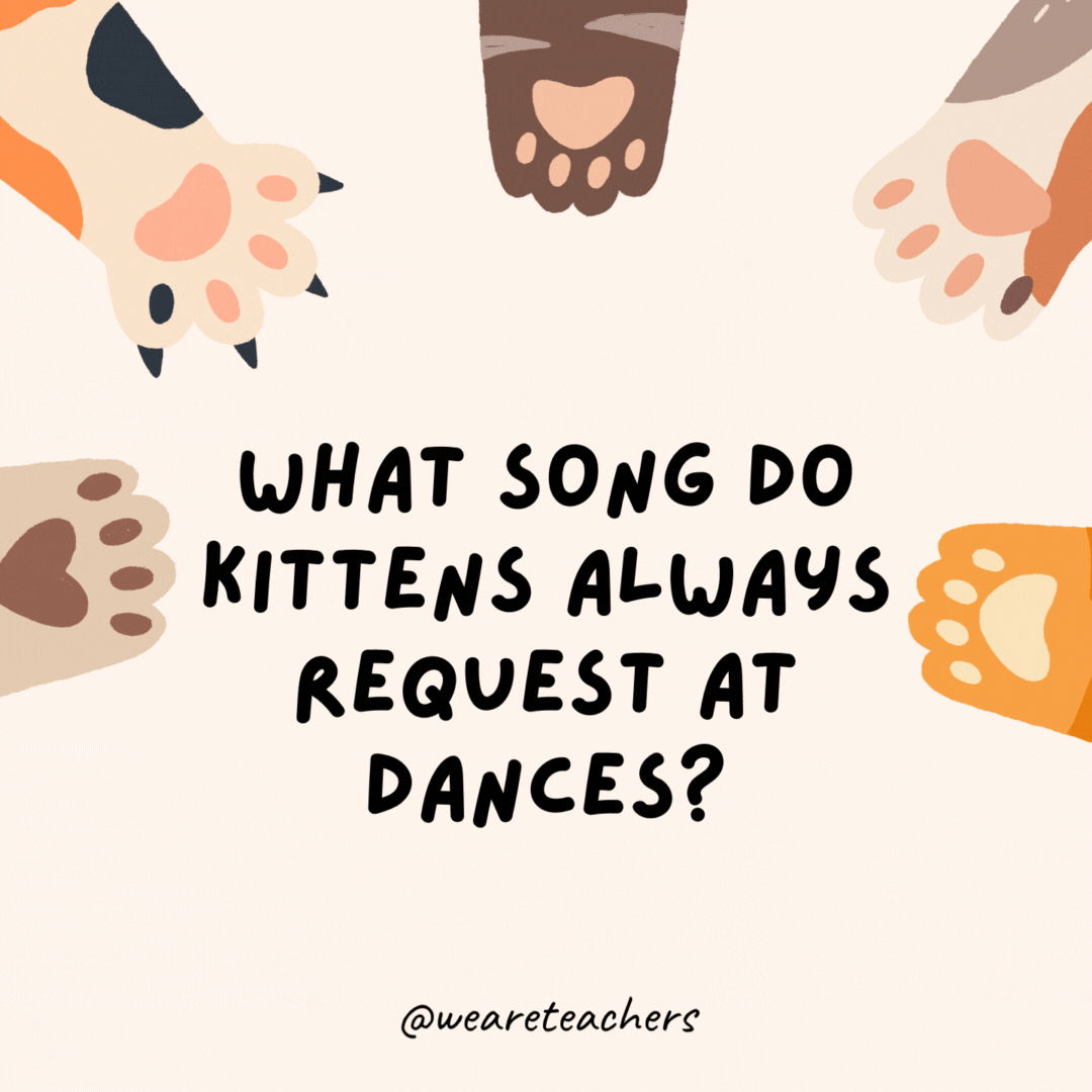 What song do kittens always request at dances?