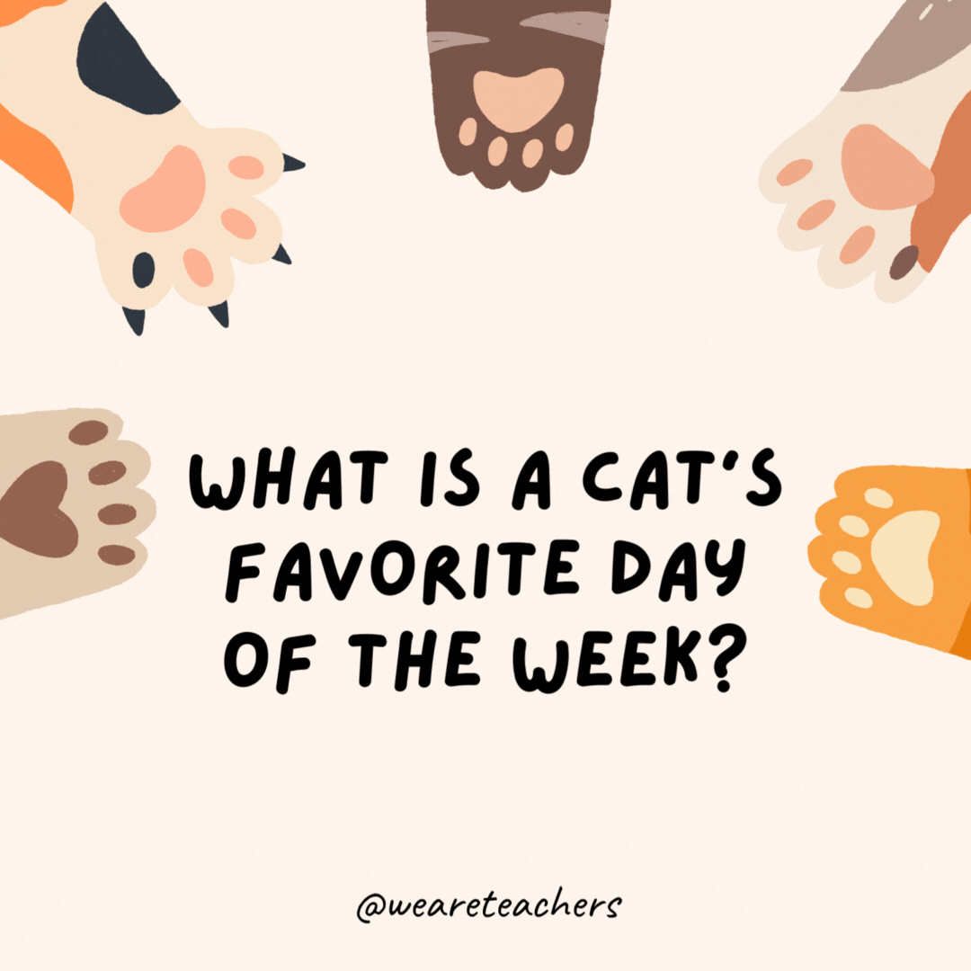 What is a cat's favorite day of the week?
