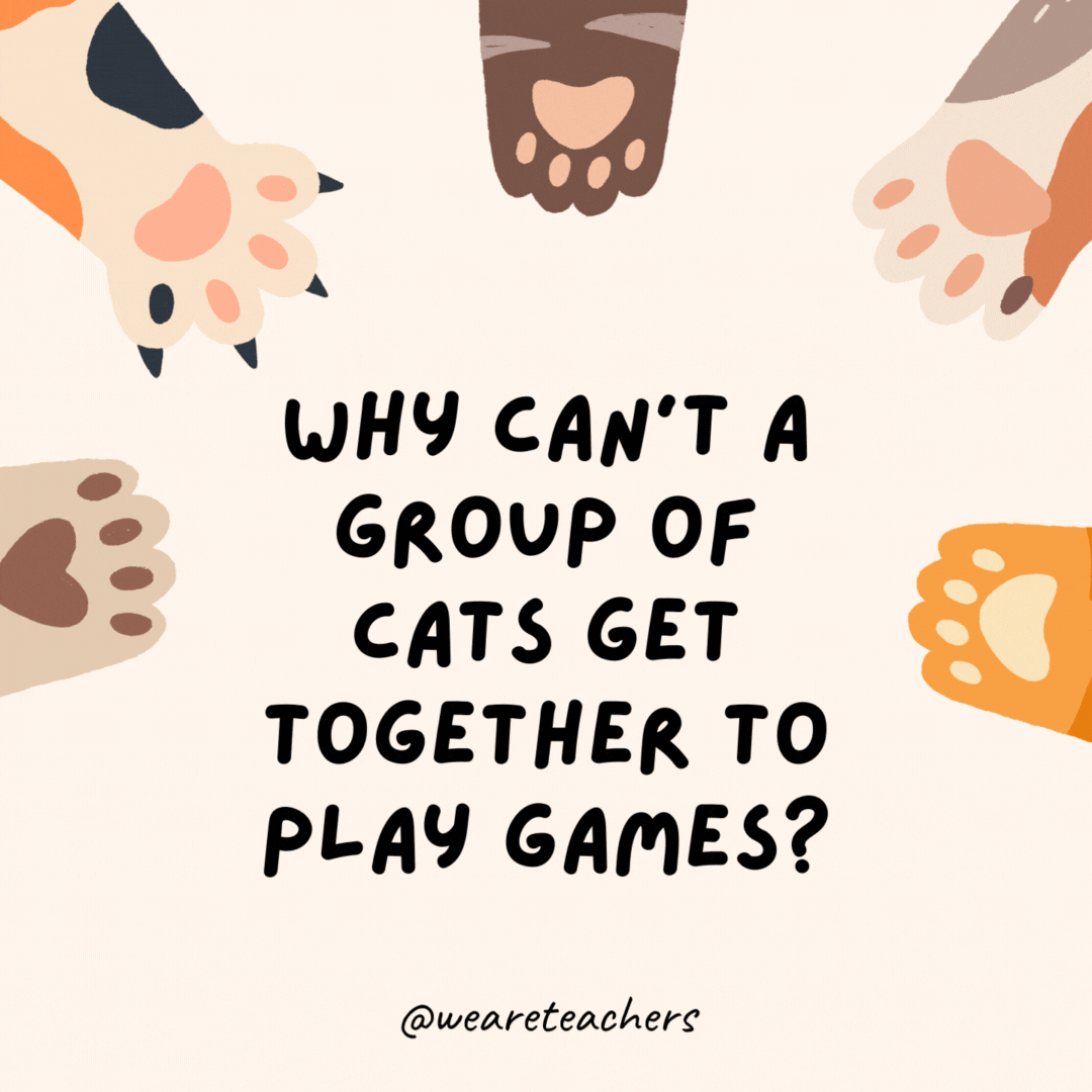 Why can't a group of cats get together to play games?