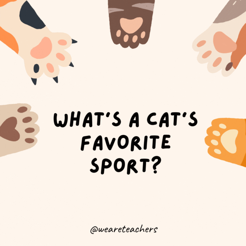 What's a cat's favorite sport?