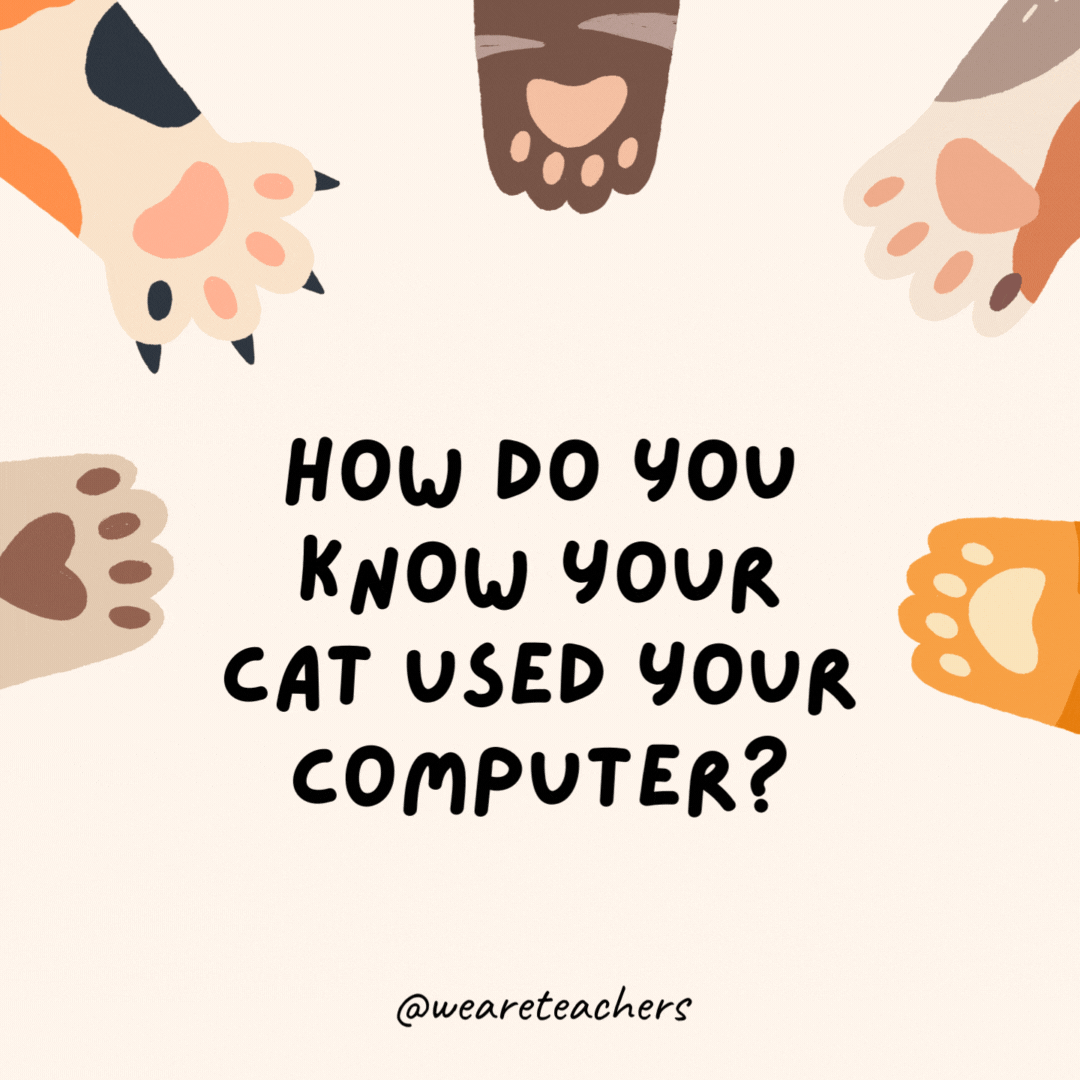 How do you know your cat used your computer?