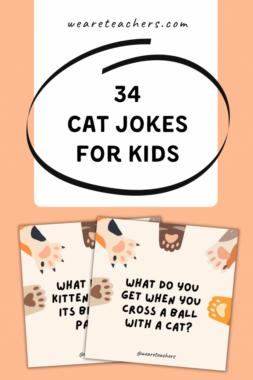34 Hiss-terical Cat Jokes for Kids