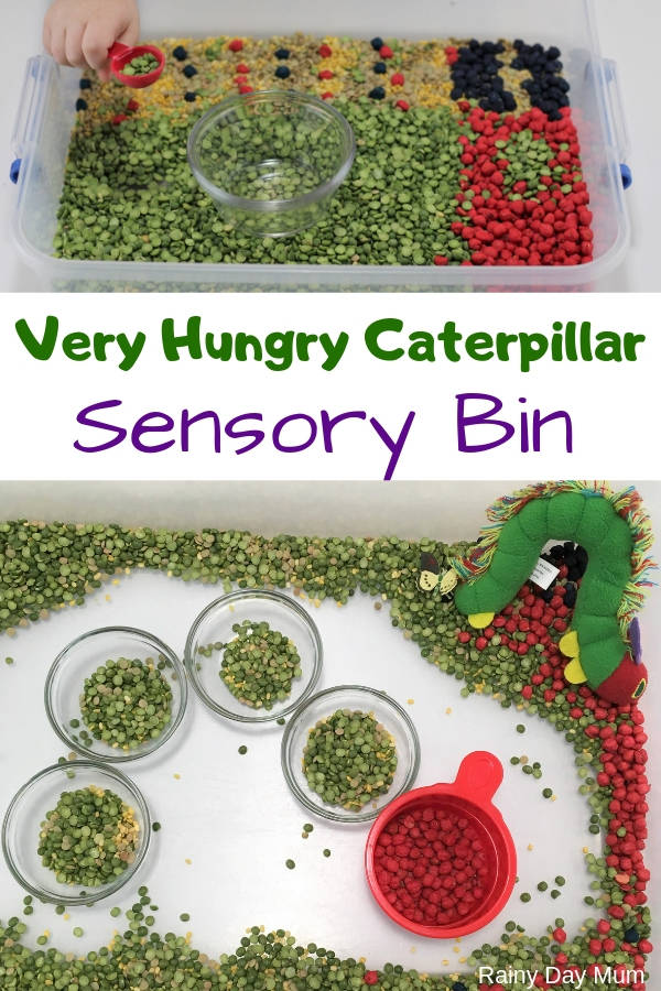 Dried peas and lentils are in small bowls in the shape of a caterpillar in this example of very hungry caterpillar activities. 