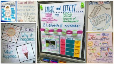 Collage of Cause and Effect Anchor Charts