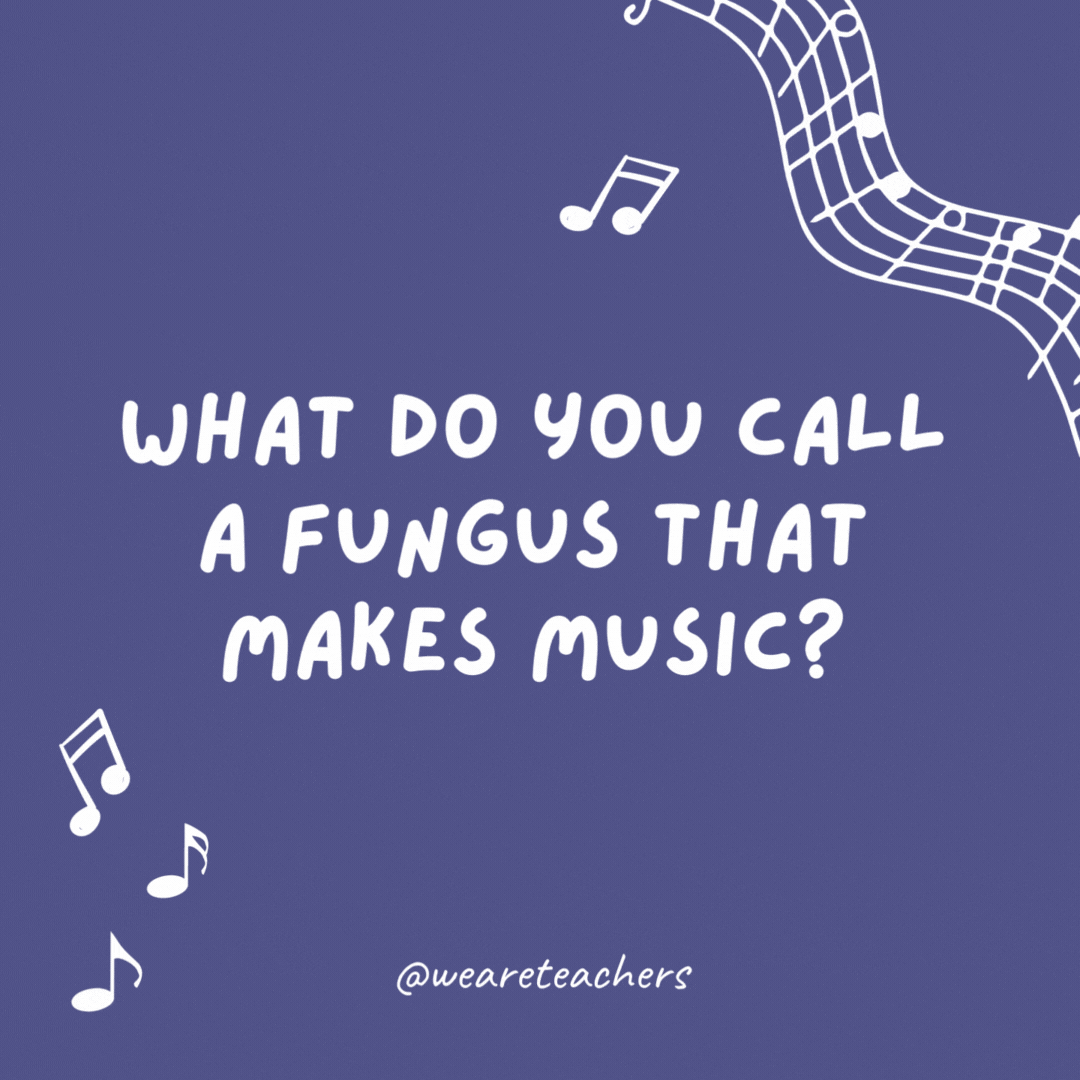 What do you call a fungus that makes music? 

A decomposer.