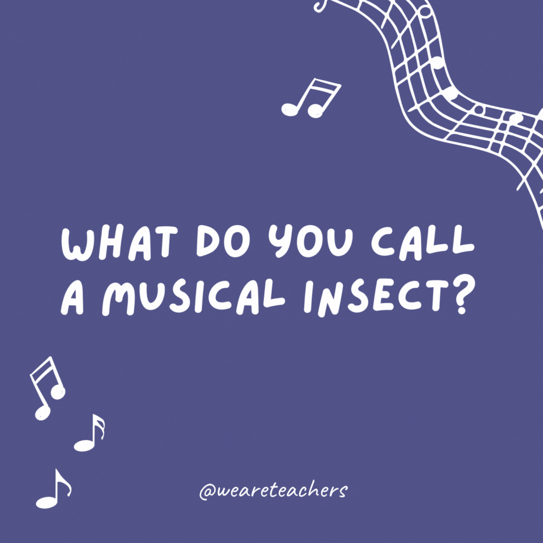 Music jokes: What do you call a musical insect? A humbug.
