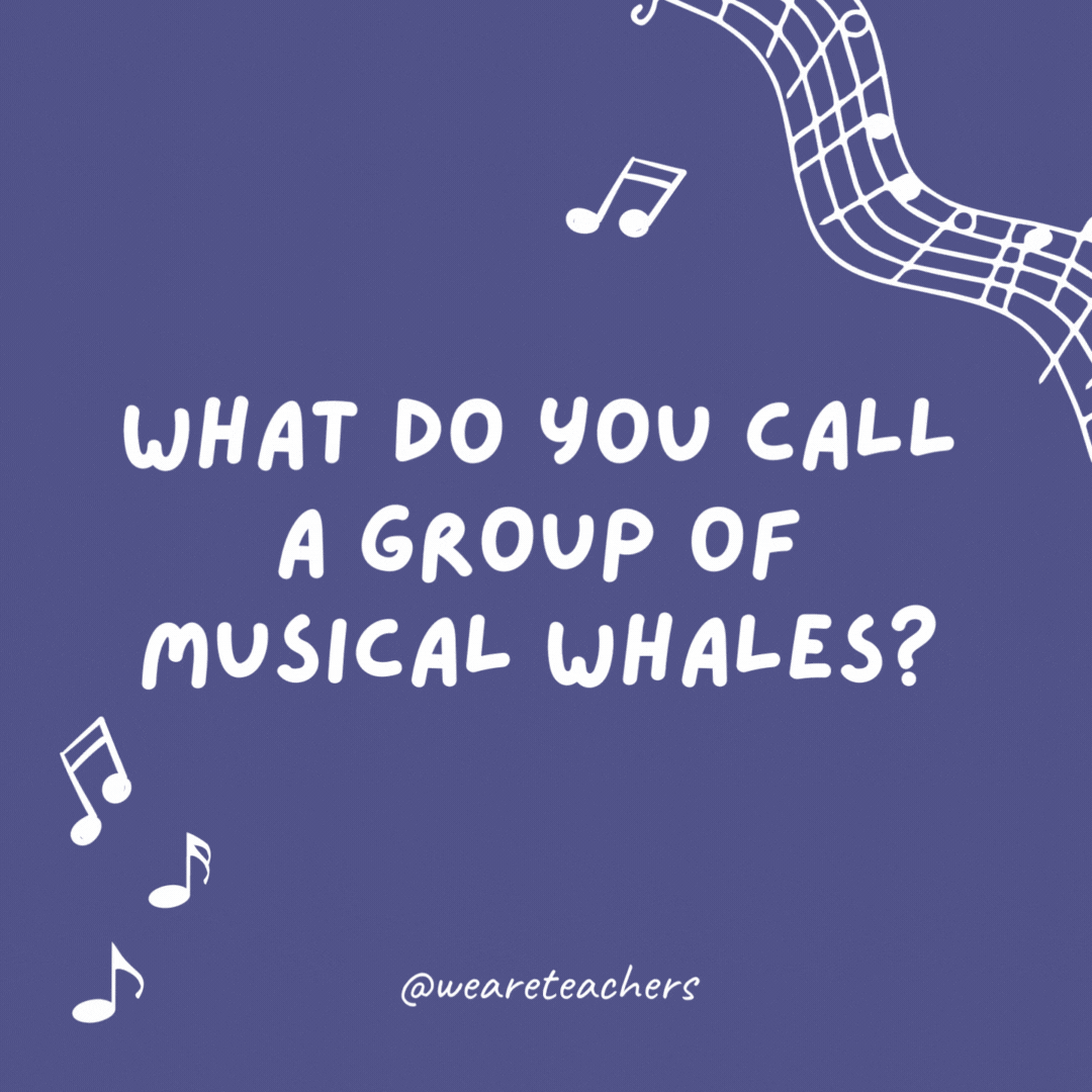 What do you call a group of musical whales? 

An orca-stra.