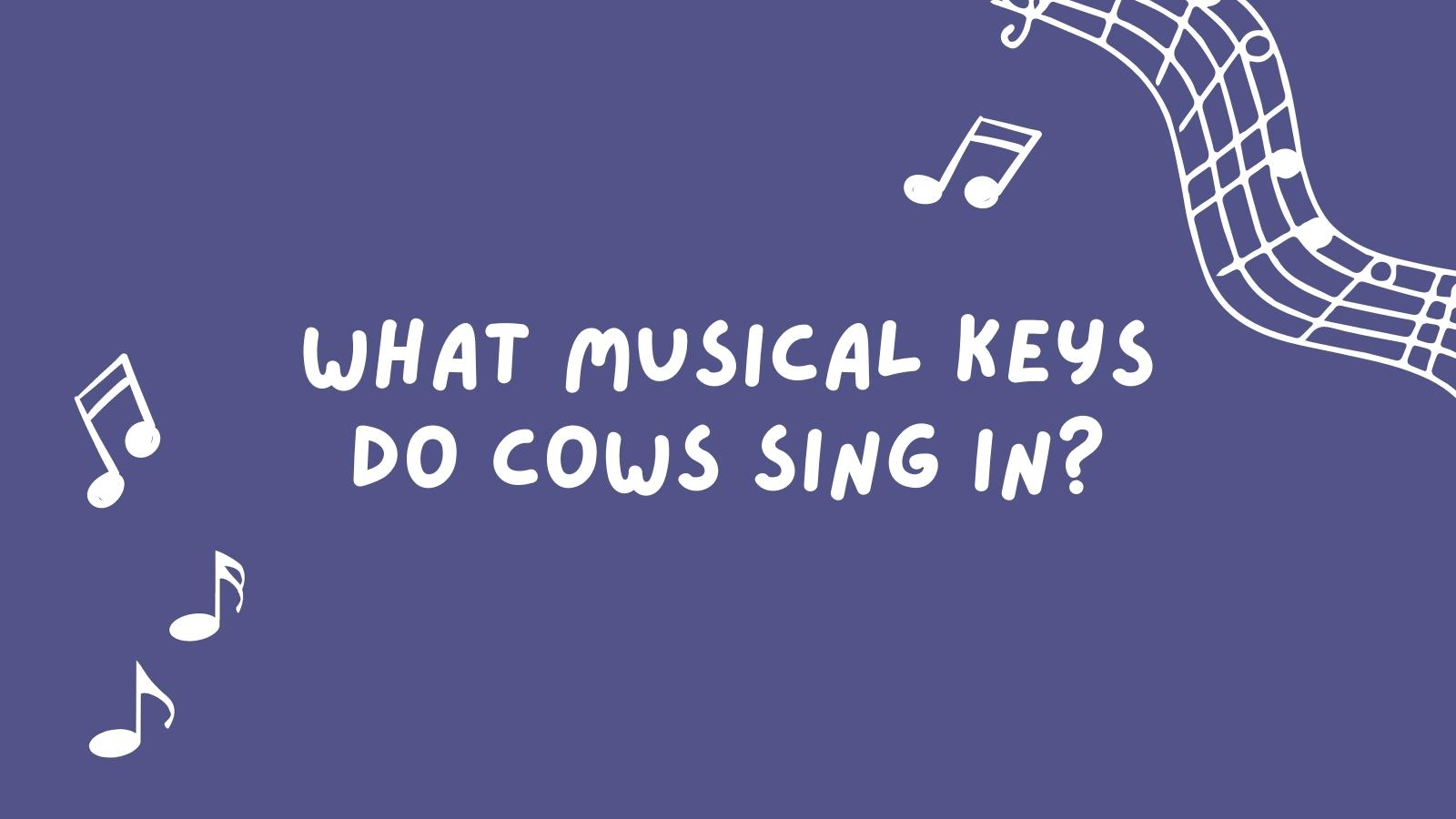 "what musical keys do cows sing in?"