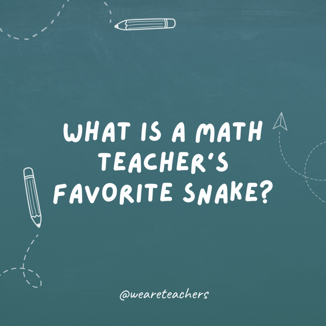What is a math teacher's favorite snake?