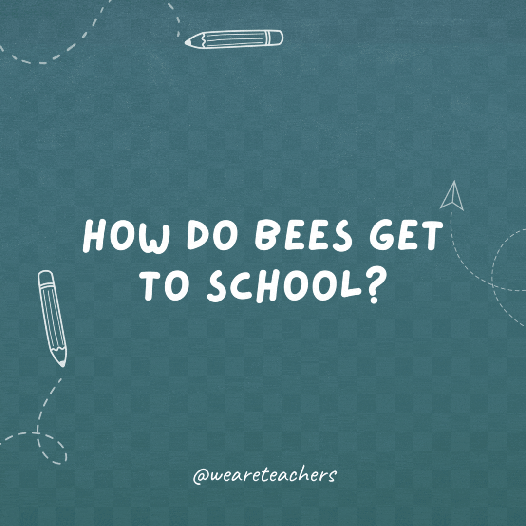 How do bees get to school? They ride the school buzz.- teacher jokes