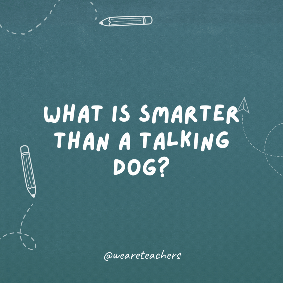 What is smarter than a talking dog? A spelling bee!- teacher jokes