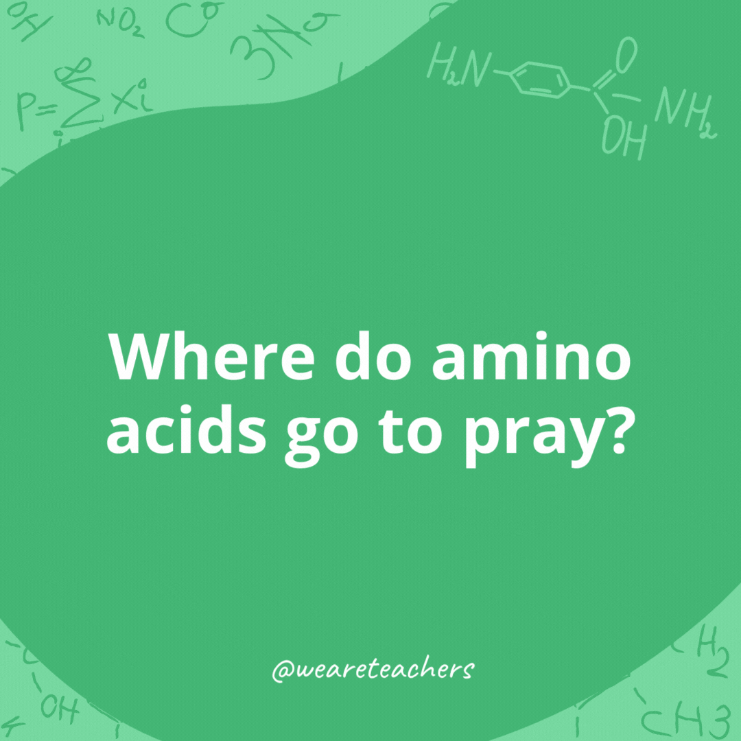 Where do amino acids go to pray? 

The cysteine chapel.- chemistry jokes