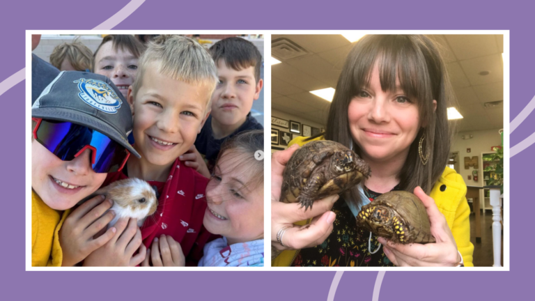 Split image of kids holding a bunny and a girl holding two tortoises