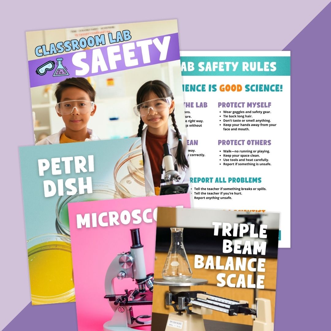 Lab Safety Worksheet and Activity Bundle - Image 3