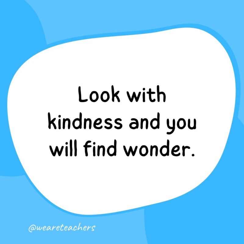 14. Look with kindness and you will find wonder.- classroom quotes