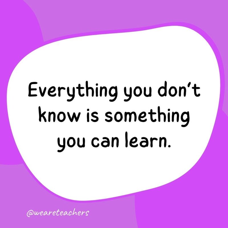 42. Everything you don't know is something you can learn.
