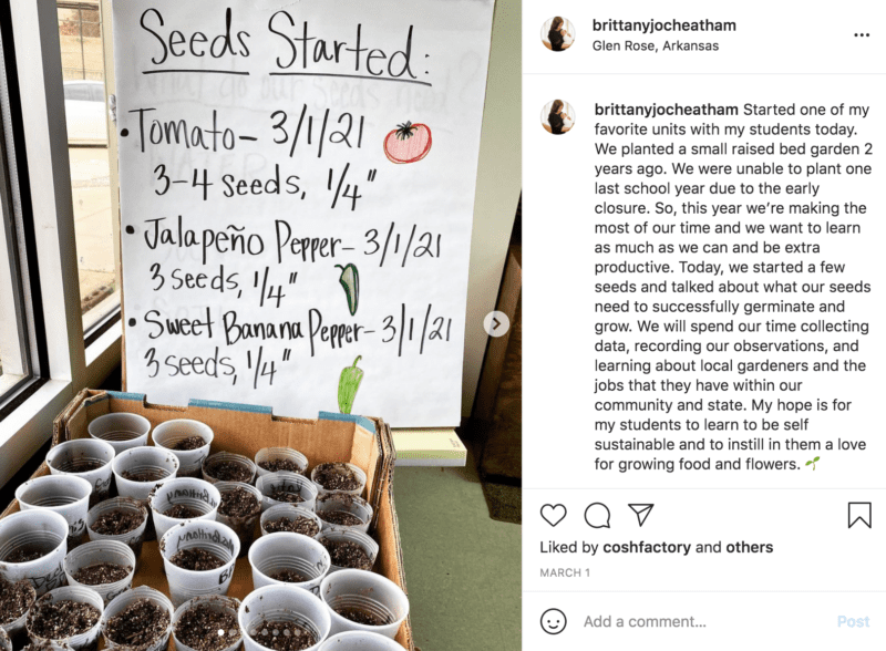 A large piece of paper reads "Seeds Started" listing vegetables such as tomatoes, jalapeños and more. Below the sign are plastic cups filled with soil. 