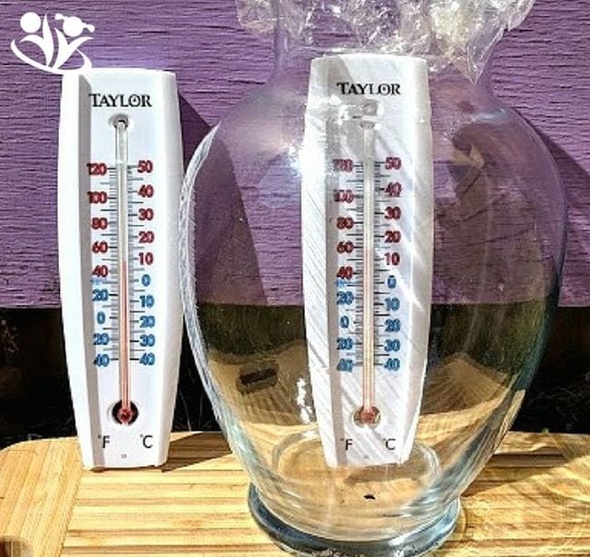 Two thermometers, one inside a covered glass jar. The jar thermometer shows a temperature 20 degrees higher. (Climate Change Activities)
