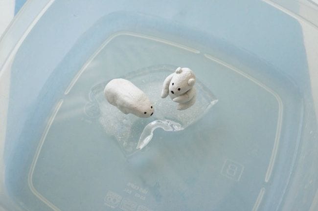Two model polar bears floating on a small piece of ice in a plastic container 