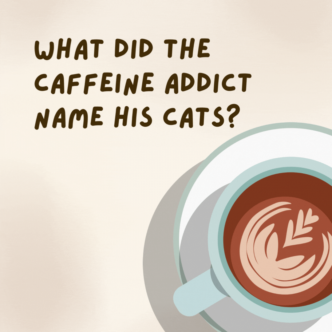 What did the caffeine addict name his cats?

Cream and Sugar.