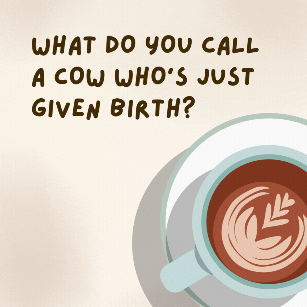 What do you call a cow who’s just given birth?

De-calf-inated!