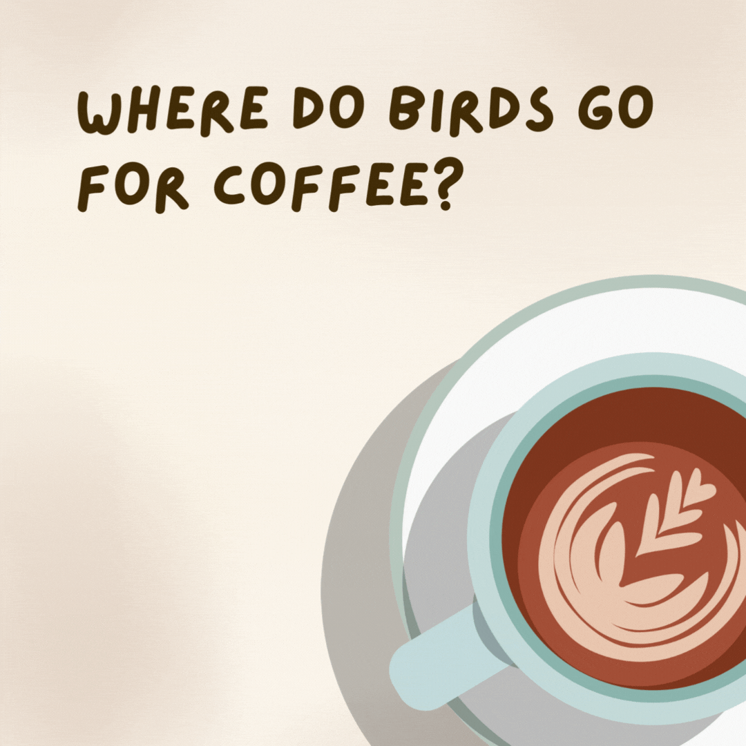 Where do birds go for coffee? To the Nest-cafe.- coffee jokes