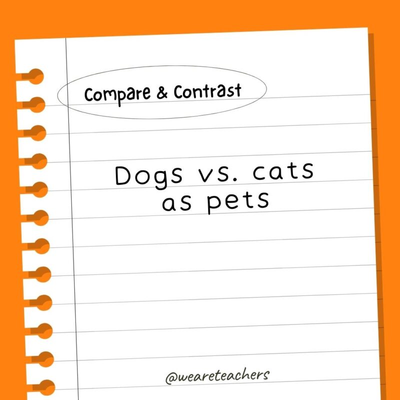 Dogs vs. cats as pets