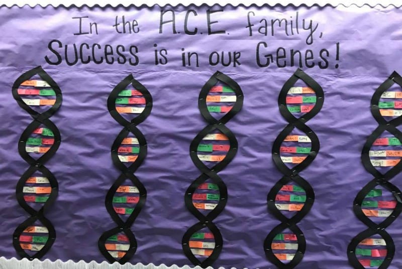 Bulletin board showing strands of DNA. Text reads In the A.C.E. family, success is in our genes!