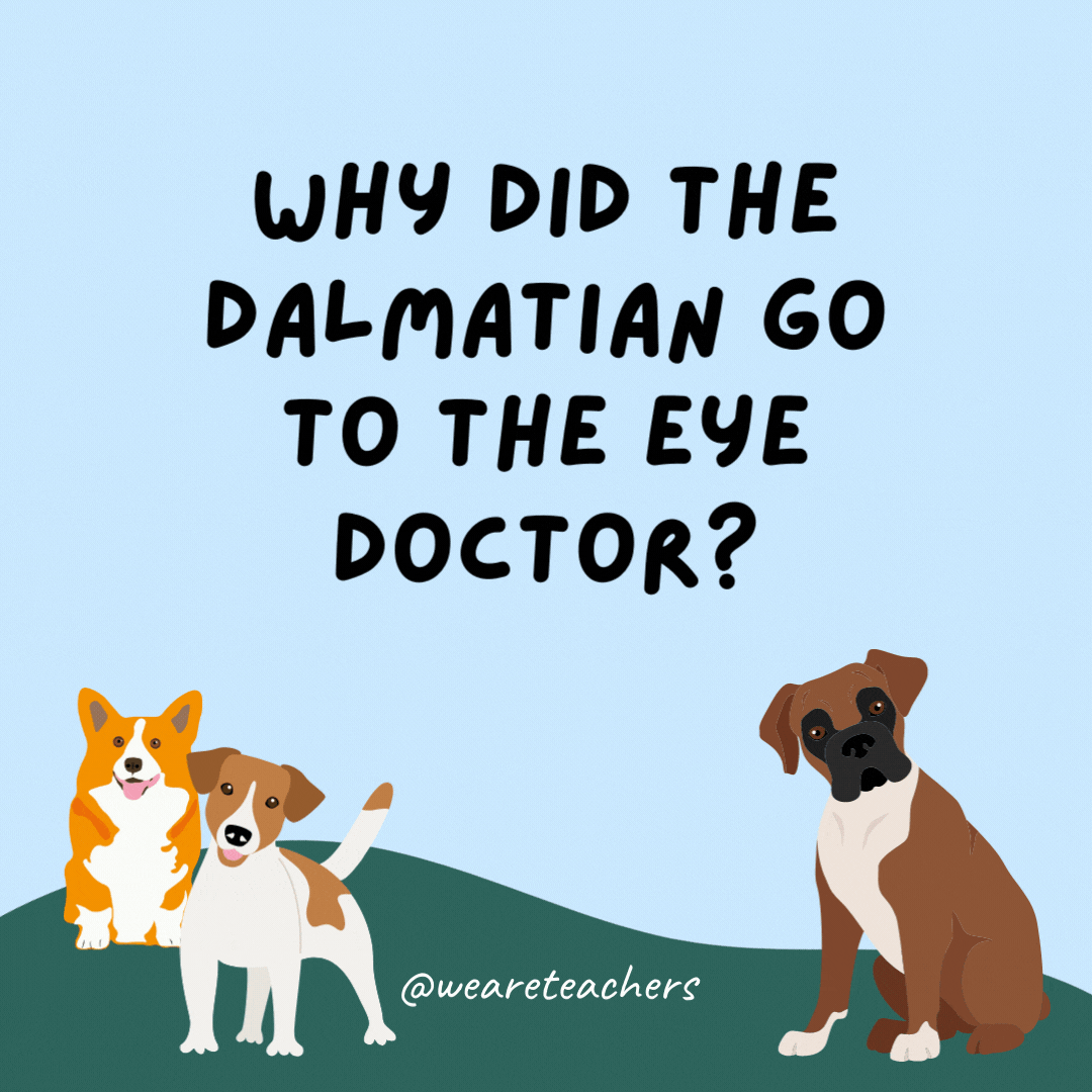 Why did the dalmatian go to the eye doctor? He kept seeing spots.