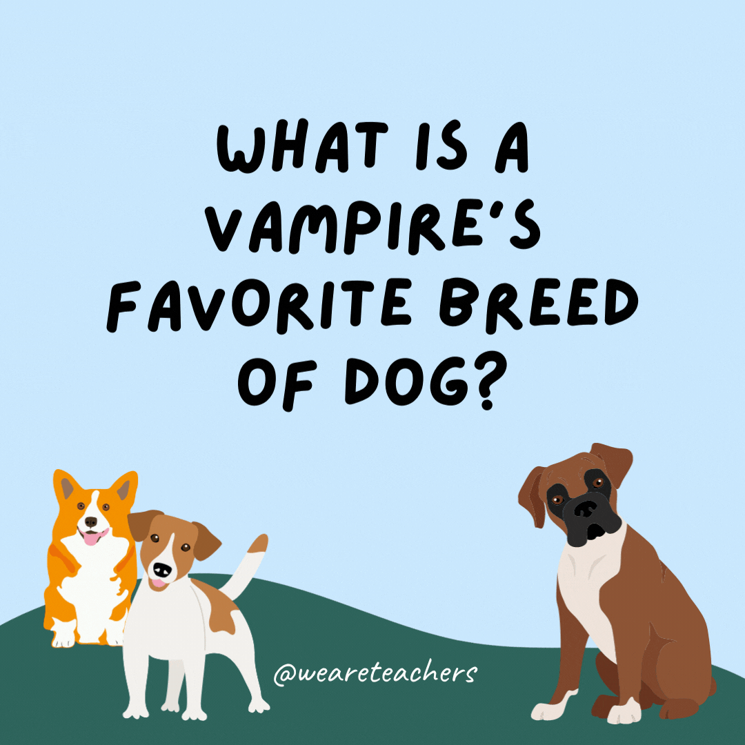 What is a vampire's favorite breed of dog? A bloodhound.